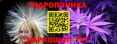 Альфа ПВП Рузаевка