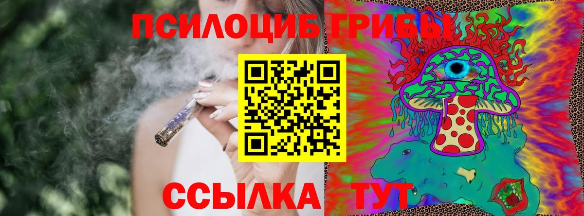 Псилоцибиновые грибы GOLDEN TEACHER  Вход с VPN  Галлюциногенные грибы мухоморы  Новодвинск 