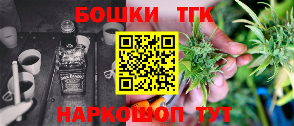 Бошки Шишки план Новодвинск